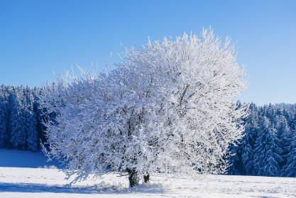 실생활로 이해하는 팁