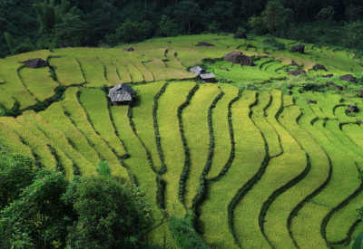 알림과 문서 보관