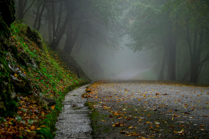응용 노하우로 더 편하게