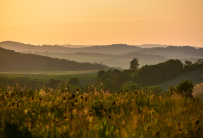변화와 수치로 보는 포인트